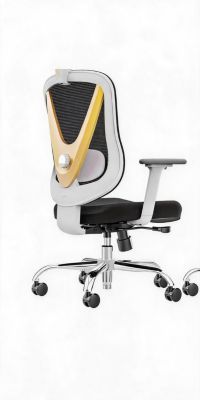 Ergonomic Y-Frame Office Chair with Lumbar Support, Adjustable Swivel, Padded Seat, Smooth Casters for Home Office and Living Room Use