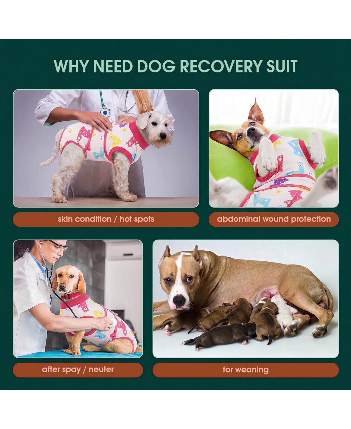 Post-Surgery Recovery Bodysuit Onesie for Dogs, Cone Alternative for Wound and Incision Protection