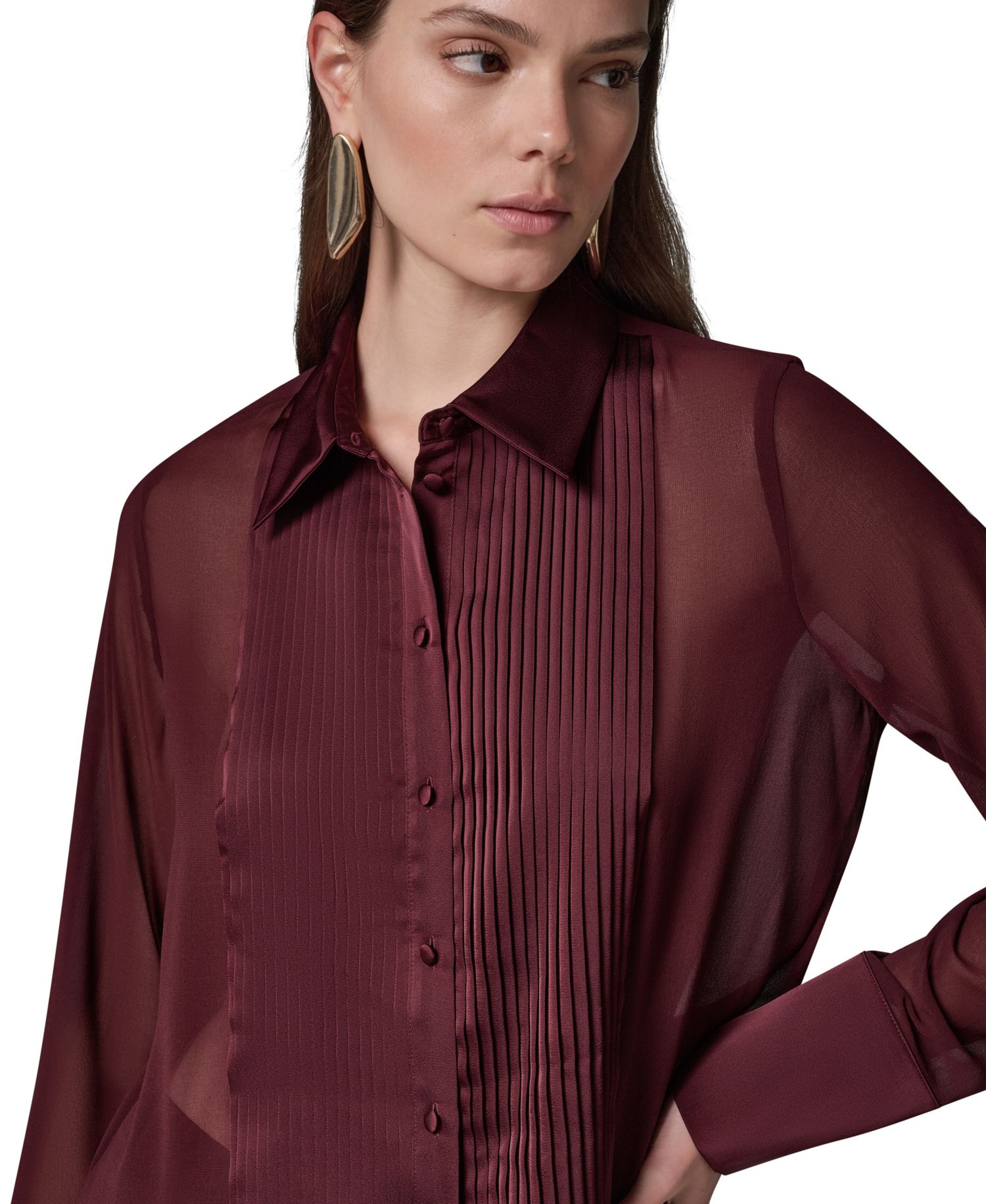 Women's Long-Sleeve Sheer Blouse