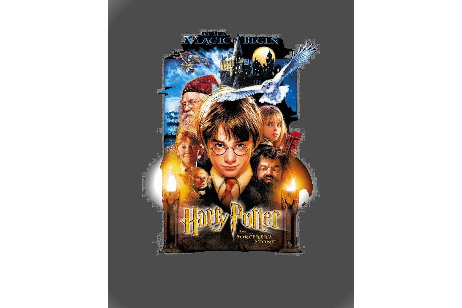 Men's Sorcerer's Stone Movie Poster Relaxed-Fit Graphic T-Shirt