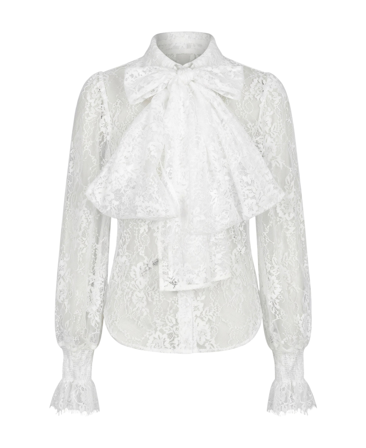 Modenaire Women's Sheer Floral-Print Long-Sleeve Lace Blouse