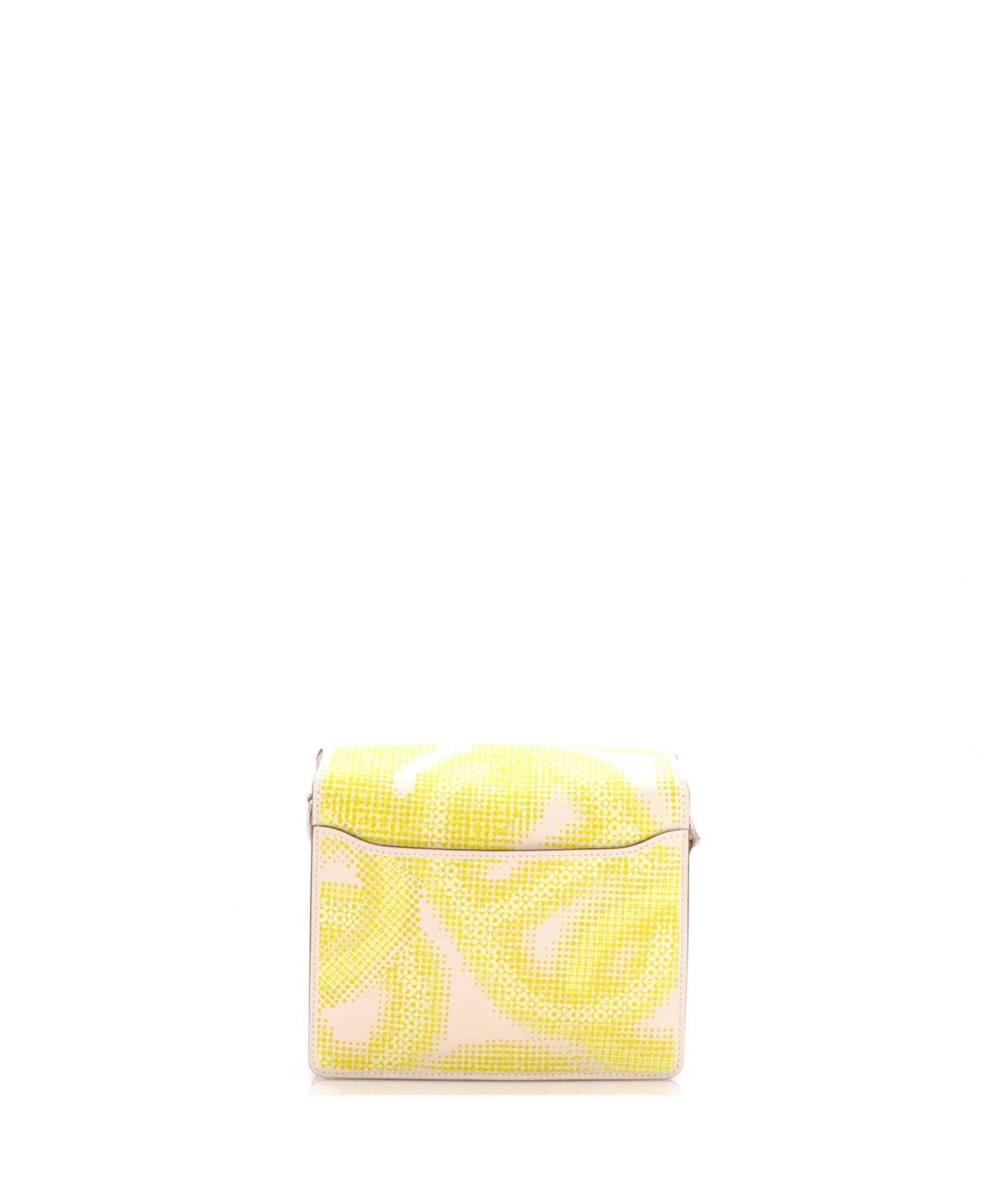 Pre-Owned Hermes 18 Circuit 24 Faubourg Roulis Bag Printed Swift