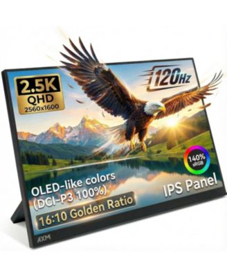 16" IPS 2.5K QHD 120Hz Portable Computer Monitor