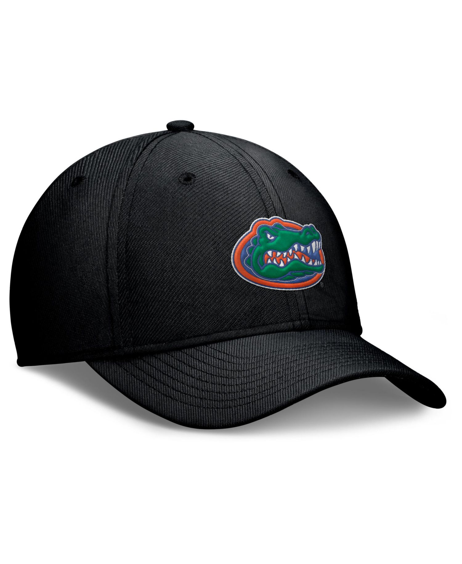 Men's Black Florida Gators Rise SwooshFlex Dri-FIT Hat