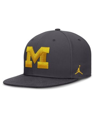 Men's Nike Anthracite Michigan Wolverines Pro Dri-FIT Fitted Hat