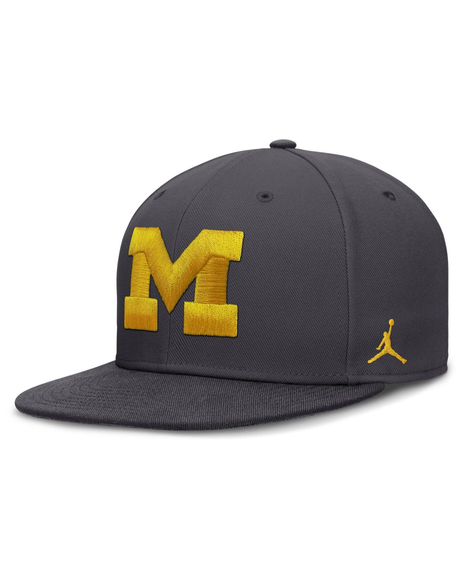 Men's Nike Anthracite Michigan Wolverines Pro Dri-FIT Fitted Hat