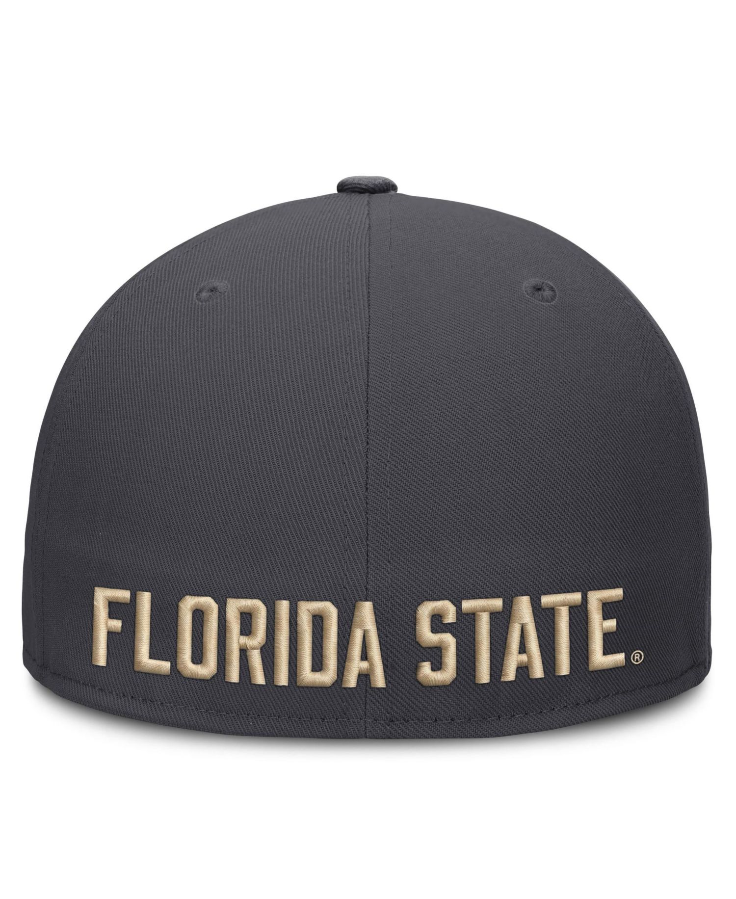 Men's Anthracite Florida State Seminoles Pro Dri-FIT Fitted Hat
