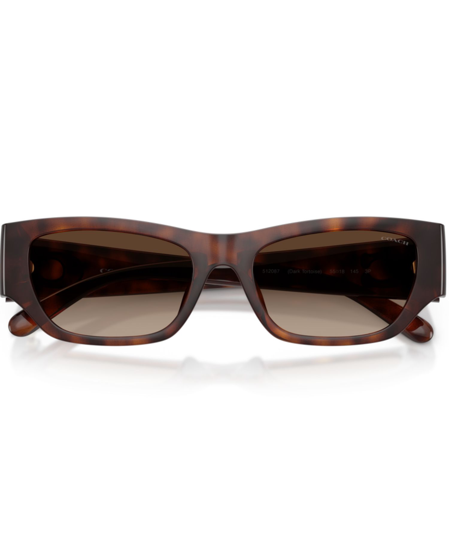 Polarized Cat-Eye Sunglasses HC8470D