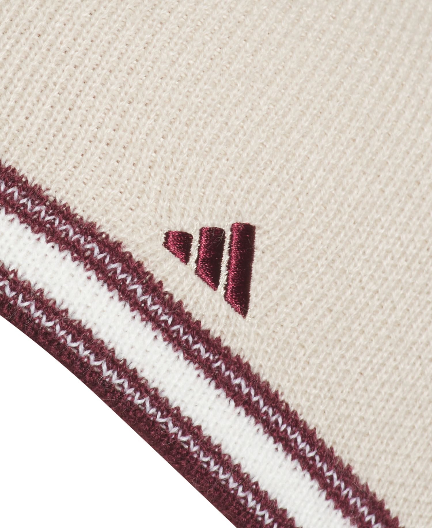 Men's Stripe Skully Beanie