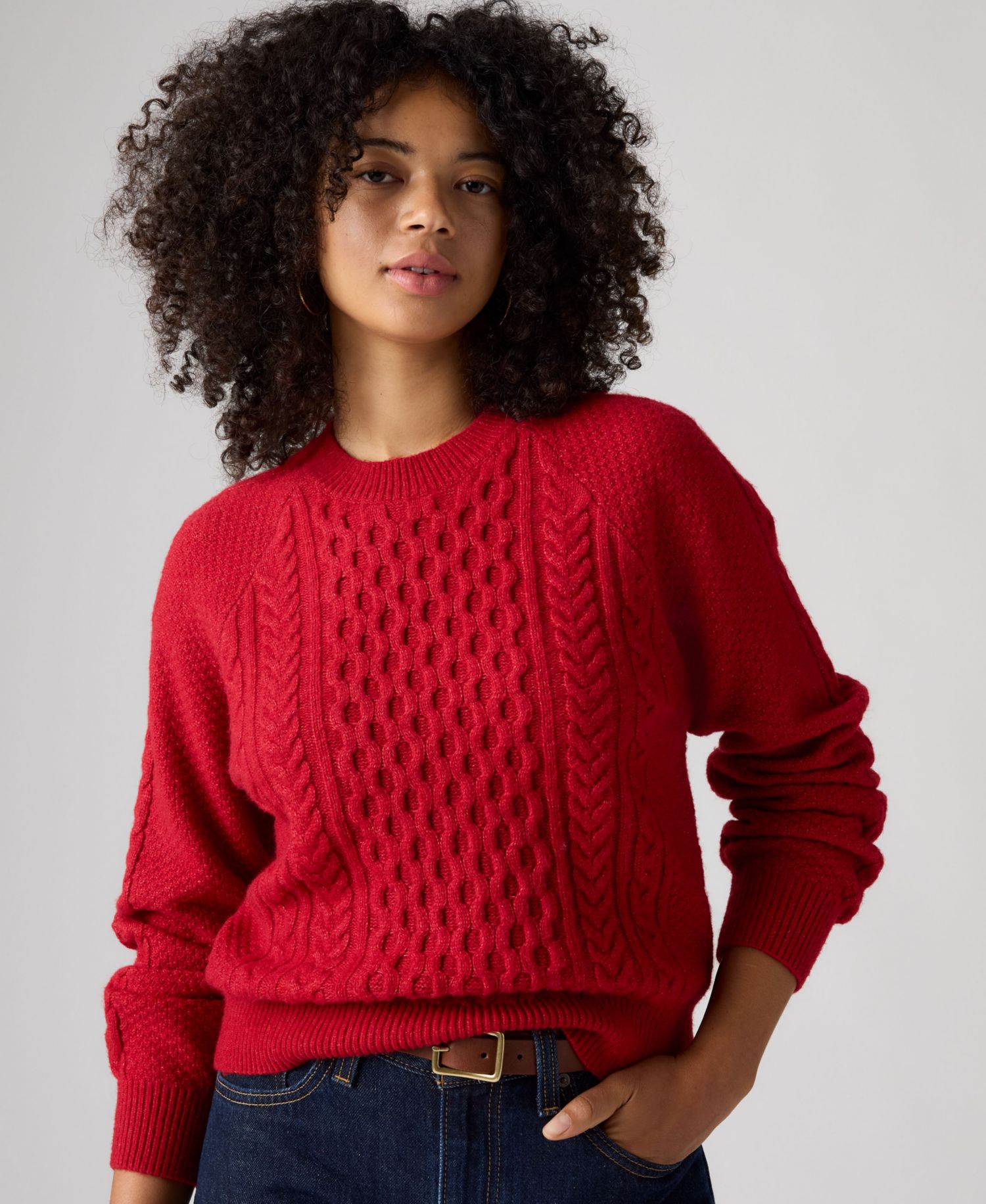 Women's Jolie Cable-Knit Long-Sleeve Crewneck Sweater