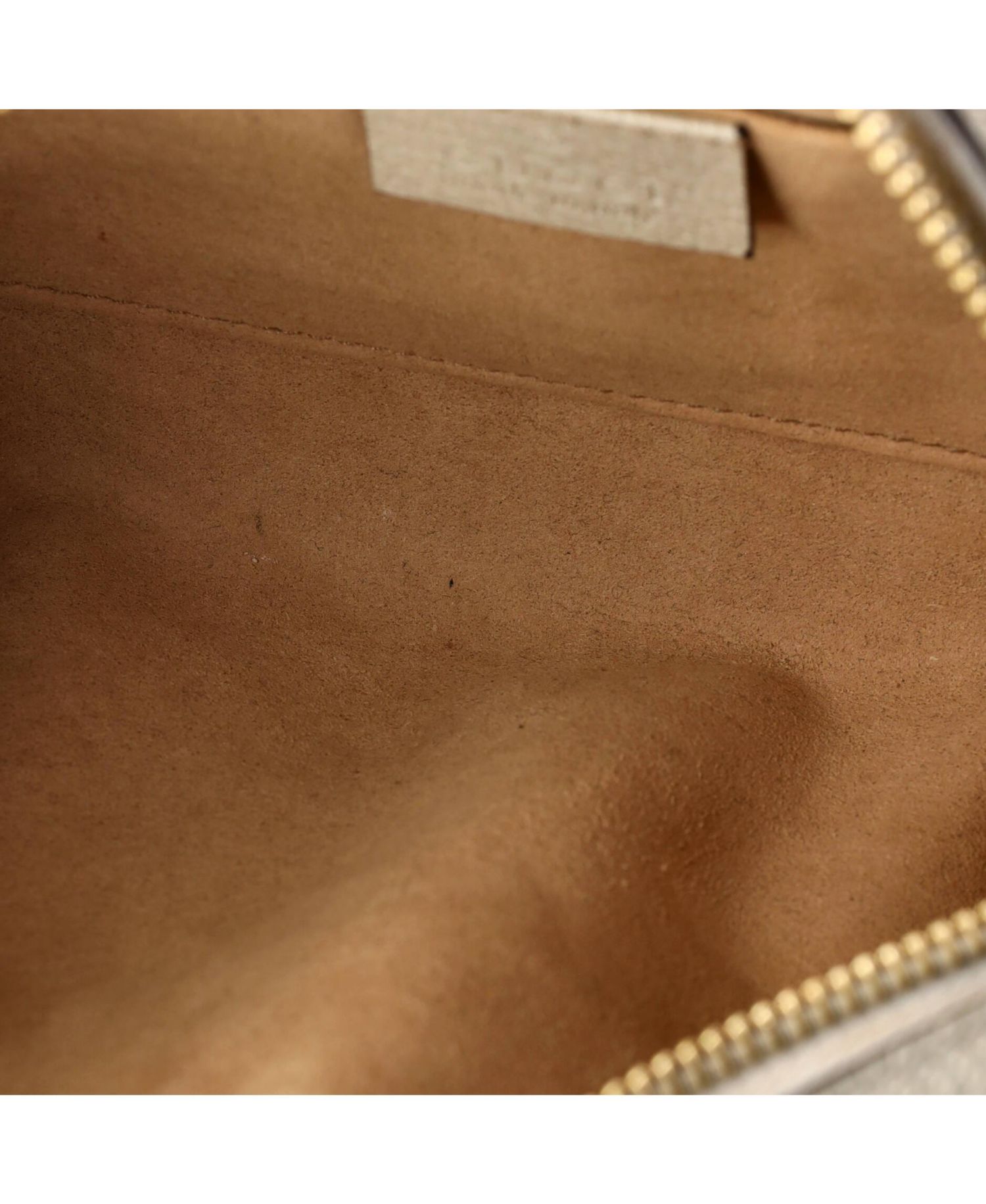 Mini Ophidia Shoulder Bag GG Coated Canvas