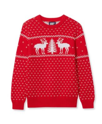 Boys' 4-20 Intarsia Holiday Crewneck Sweater