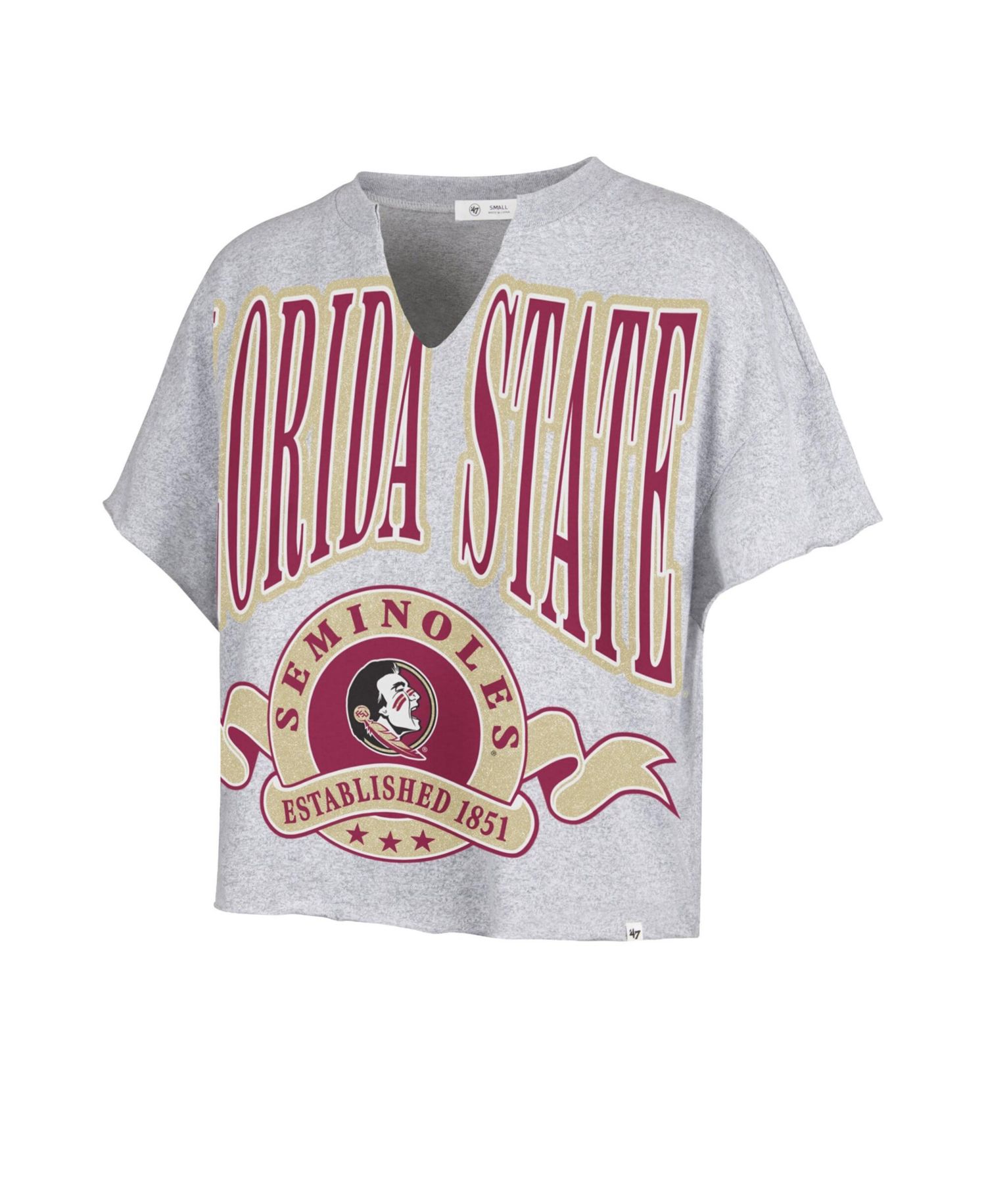 Women's Gray Florida State Seminoles Banners Out Oversized Notch-Neck T-Shirt