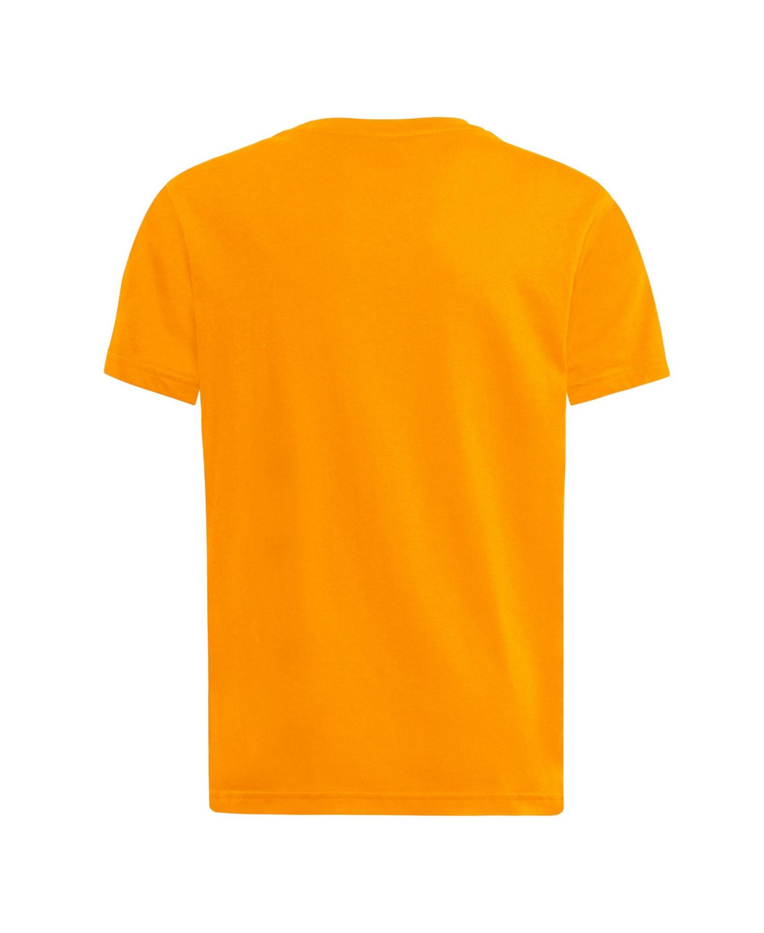 Big Boys and Girls Tennessee Orange Tennessee Volunteers Go Orange Go Fresh T-Shirt