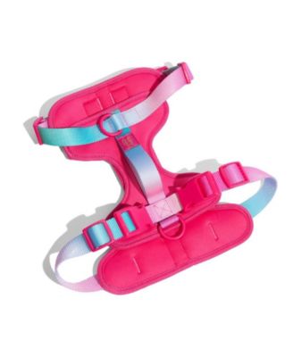 Dog Harness