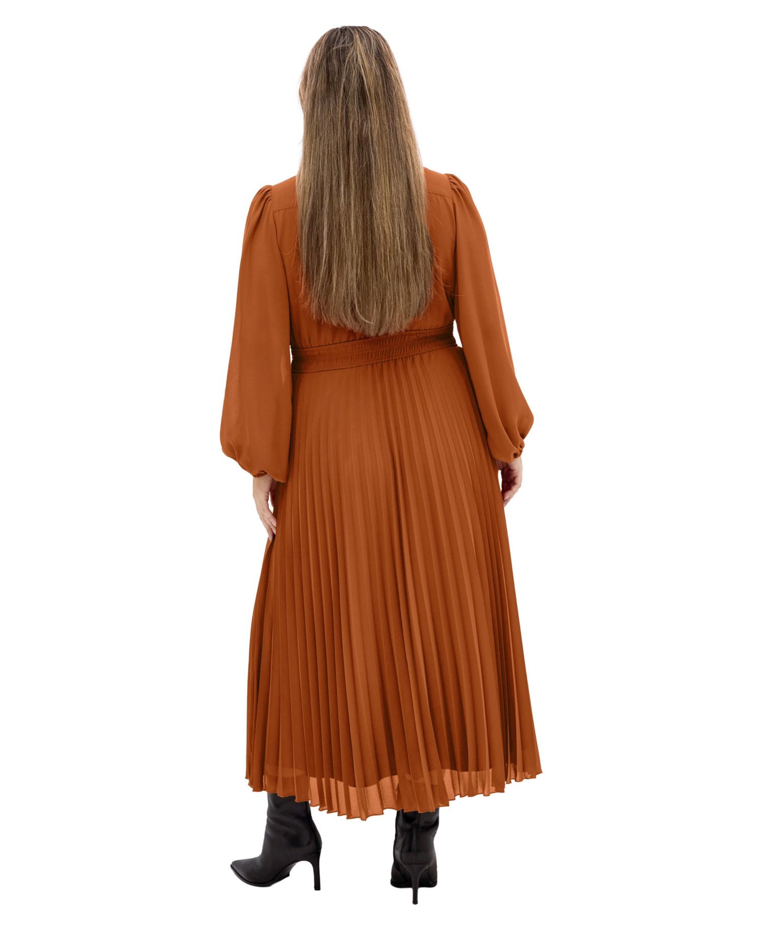 Women's Finley Sheer Dress