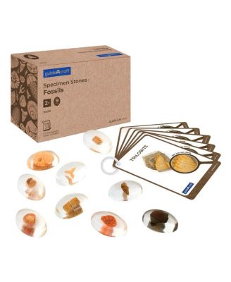 Fossil Specimens 9-Piece Science Kit, Ages 2+