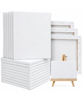 18 Pack Multi Size Stretched Blank Canvases Primed for Artists Beginners