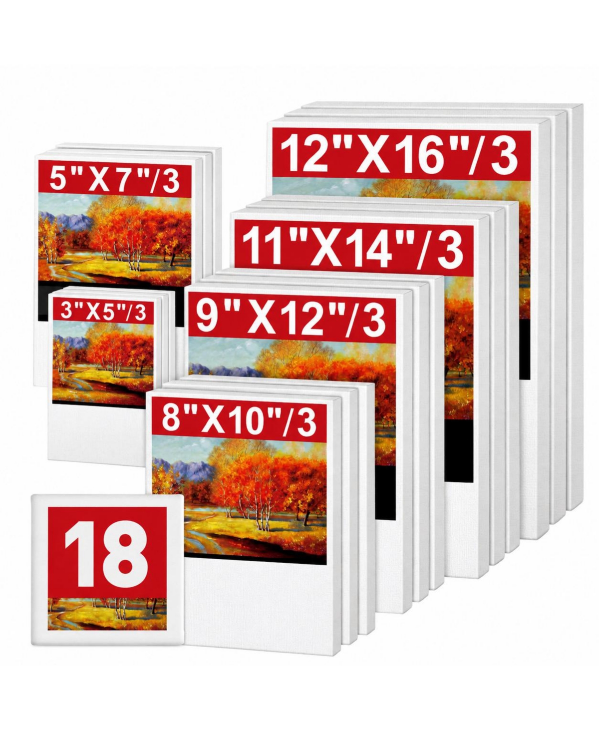 Lowking 18 Pack Multi Size Stretched Blank Canvases Primed for Artists Beginners - 18 packs - 6 sizes (3 of each)