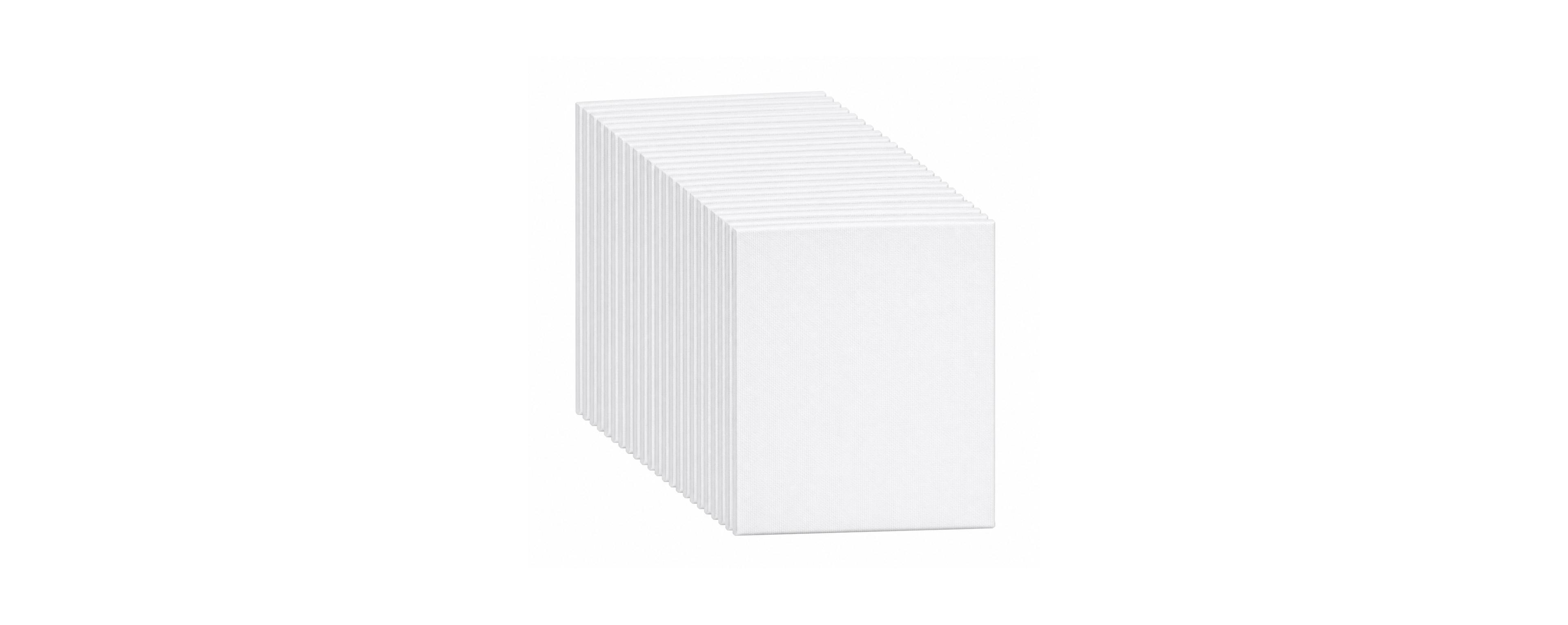 Lowking 48 Pack Blank Canvas Bulk Set For Artists Crafters And Art Projects