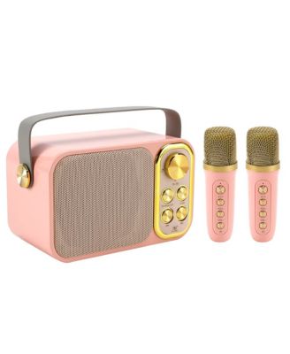 10W Karaoke Dual-Microphone Speaker