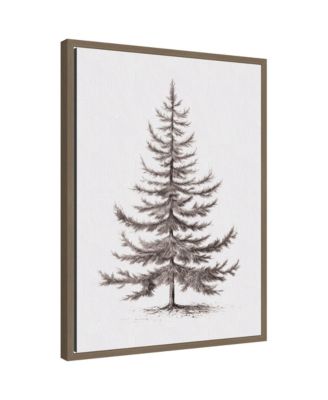 Sylvie Framed Canvas Vintage Evergreen Fir Tree lllustration II by The Creative Bunch Studio