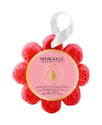 Daisy Collection Wild Flower Grapefruit Cassis