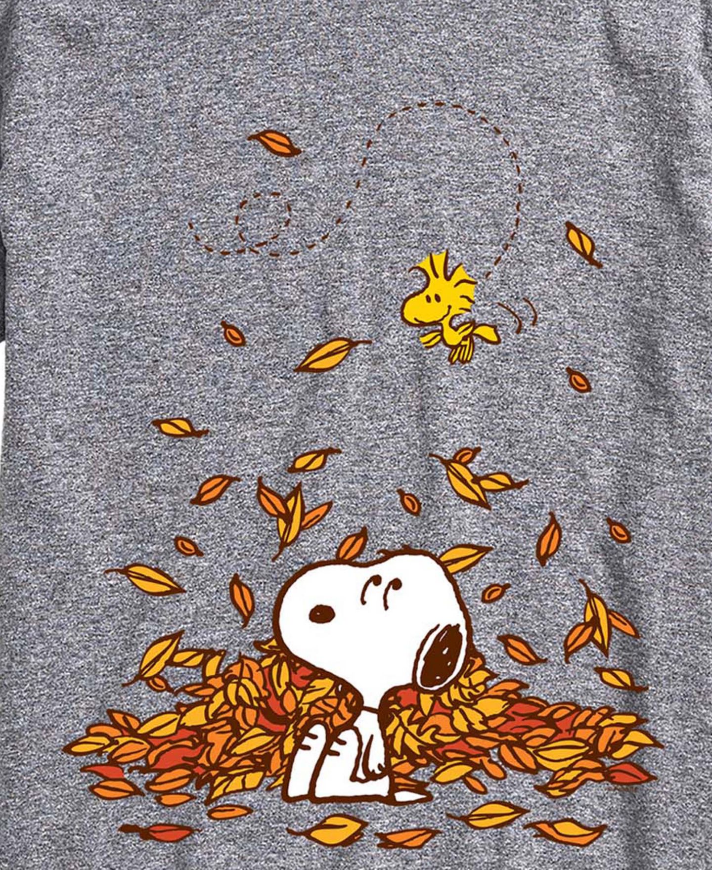 Мужская футболка AIRWAVES Snoopy and Woodstock Fall Leaves Crewneck Short-Sleeve, цвет: Меланжевый — фото 2