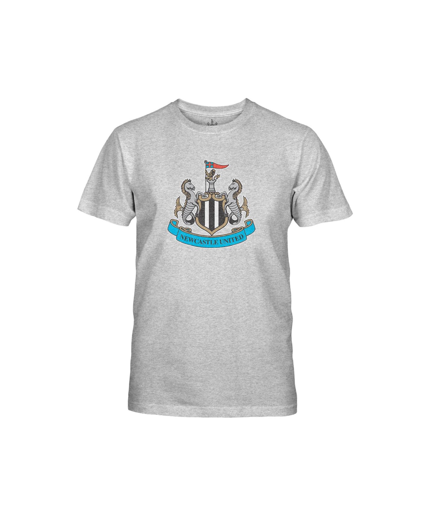 Детская футболка 1863FC Gray Newcastle United Color Badge — фото 2