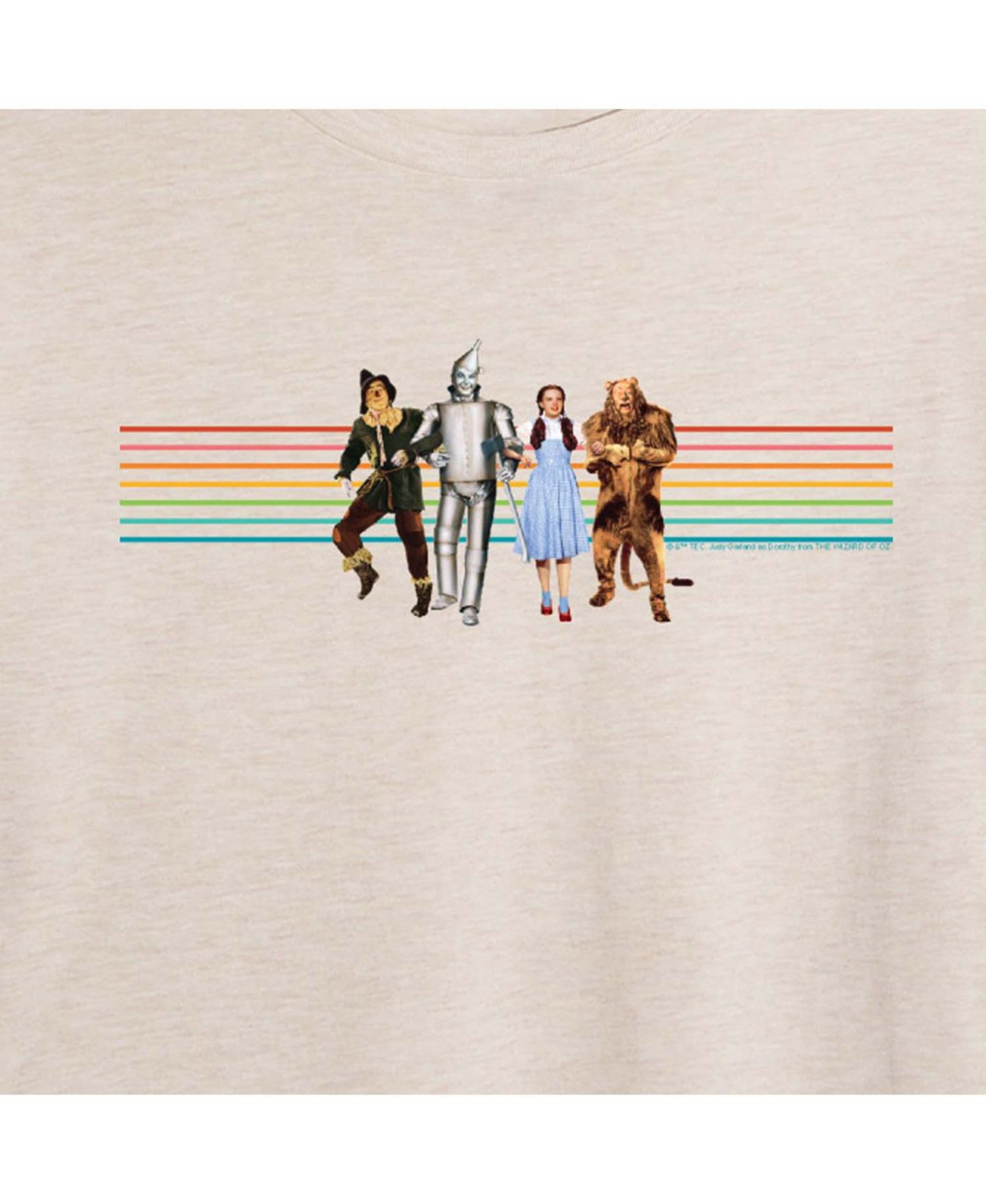 Женская футболка Wizard Of Oz Juniors' Rainbow Graphic Relaxed-Fit, цвет: Берёзовый — фото 3