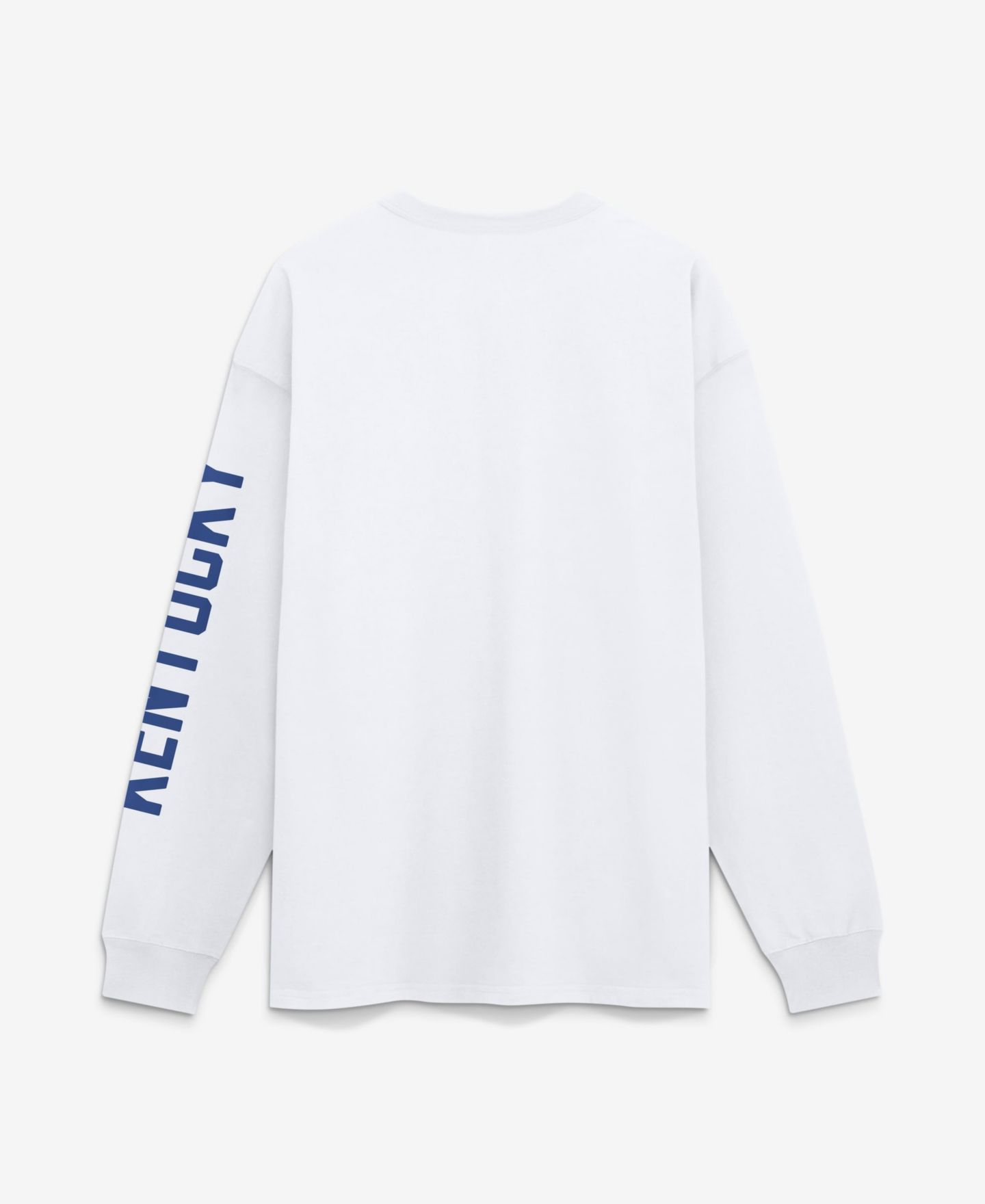 Мужская футболка Nike White Kentucky Wildcats Max 90 Legacy Multi Graphic Long-Sleeve — фото 2