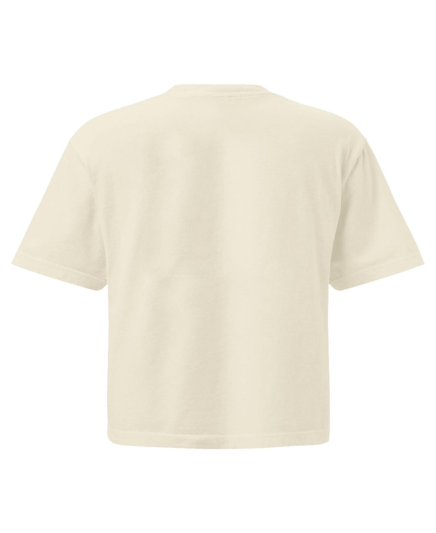Женская футболка Image One Comfort Colors Cream Auburn Tigers Go Sports Cropped — фото 3