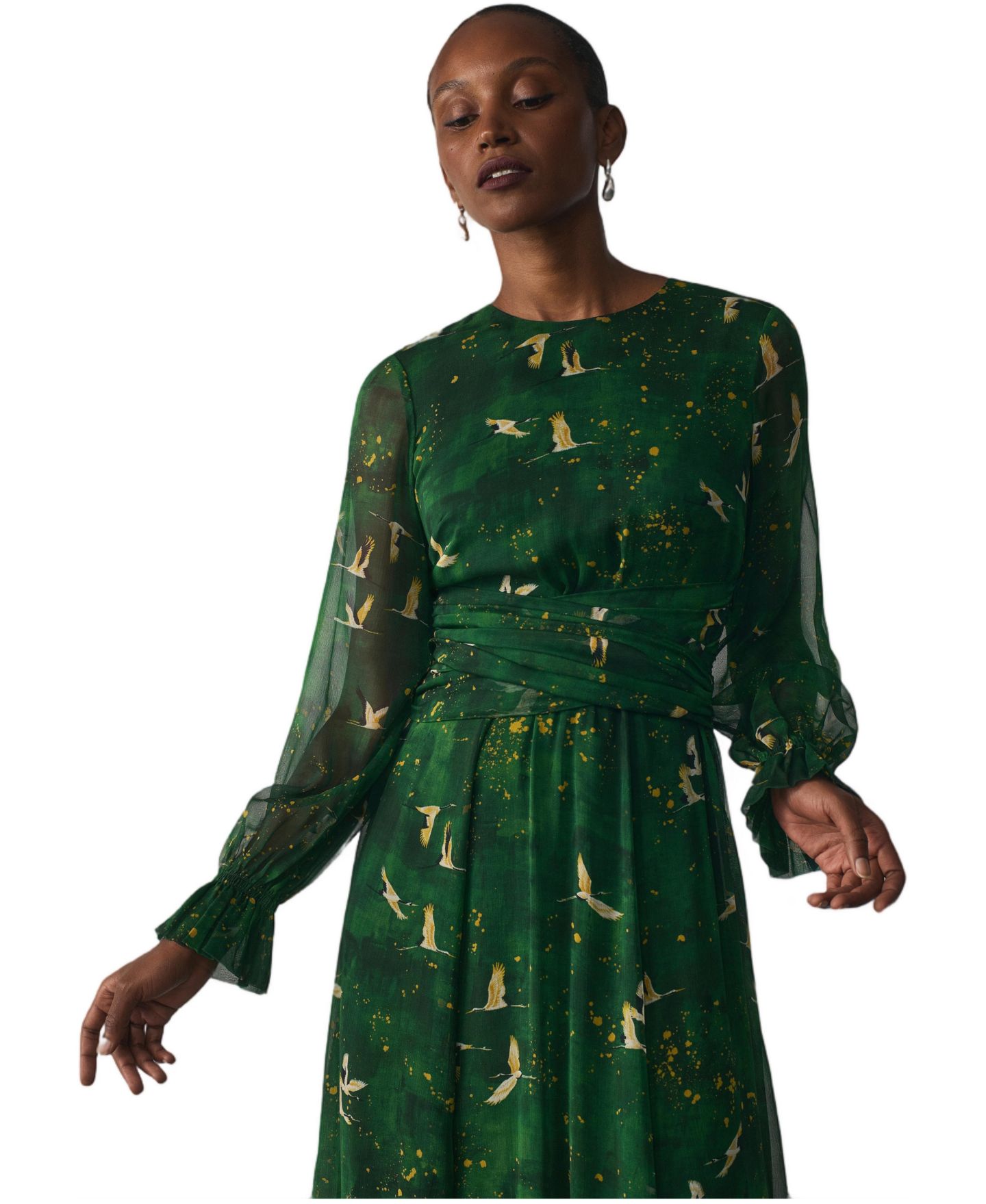 Женское платье The Fold Portofino Silk Chiffon A-Line Long-Sleeve Midi, цвет: Зелёный — фото 2