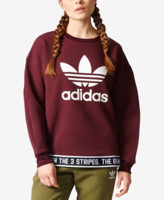 macy's champion sweatshirt