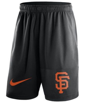Nike - Men's Dry Fly Shorts