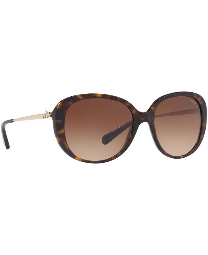 COACH Sunglasses, HC8215 - Macy's