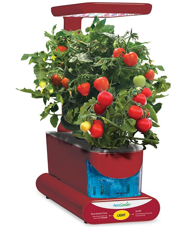 AeroGarden Mighty Mini Cherry Tomatoes 3-Pod Refill Kit & Reviews