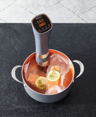 sous vide professional style cooker