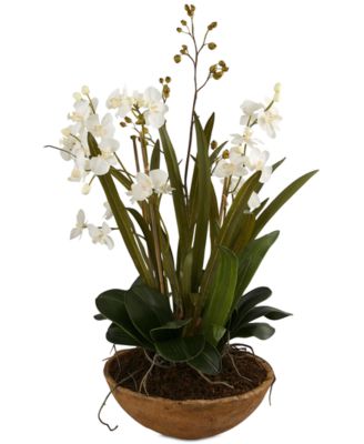 Uttermost - Moth Orchid Planter