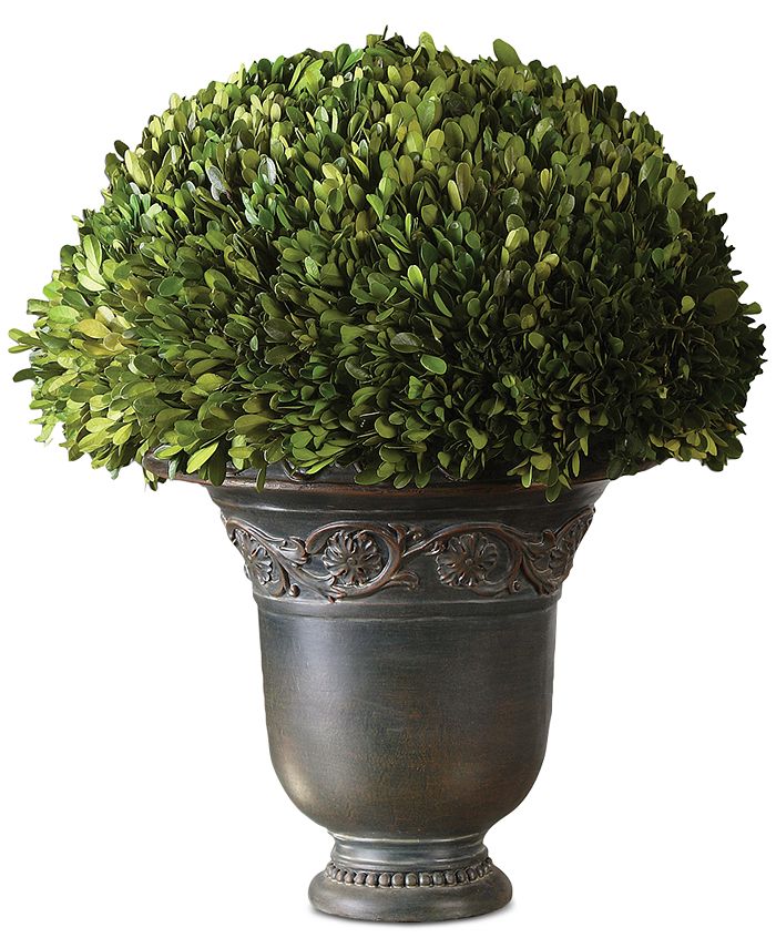 Uttermost Preserved Boxwood Globe Macy's