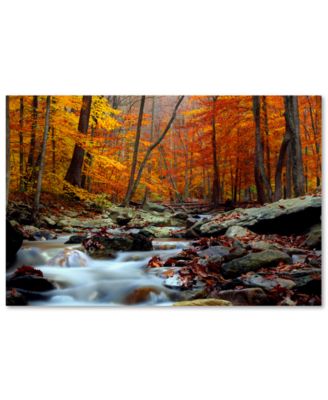 Trademark Global - CATeyes 'Ultimate Truth' 16" x 24" Canvas Wall Art