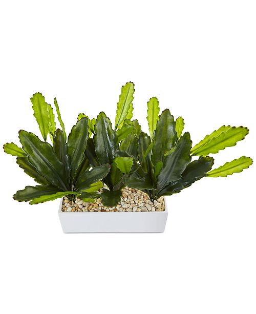 Nearly Natural Cactus Artificial Plant in Rectangular Planter & Reviews