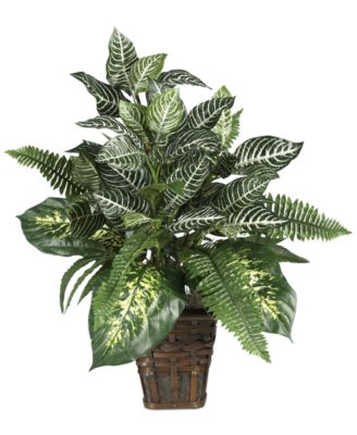 Nearly Natural - Mixed Greens & Zebra Artificial Plant in Wicker Planter