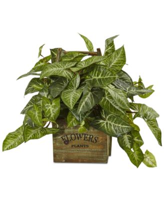 Nearly Natural - Nephthytis Artificial Plant in Rustic Wood Box Planter