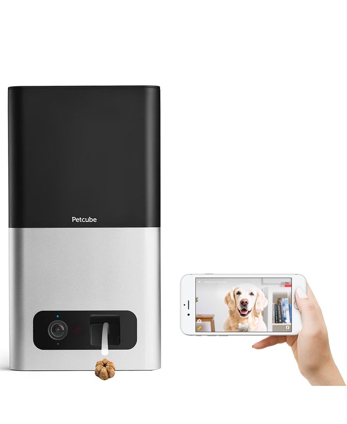 Petcube sale hotsell