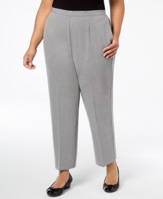 investment ii plus size pants