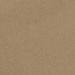 Classic Tan color swatch