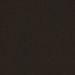 Black color swatch