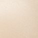 Latte Lift (Nude 5) color swatch