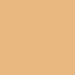 2N1 Desert Beige, Light Medium with neutral undertones color swatch
